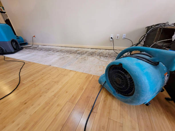 Professional Structural Drying technician working in Peachtree Corners, GA